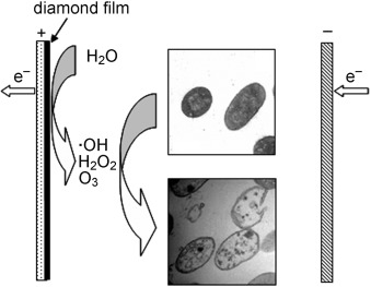 Electrochemical Alternatives for Drinking Water Disinfection