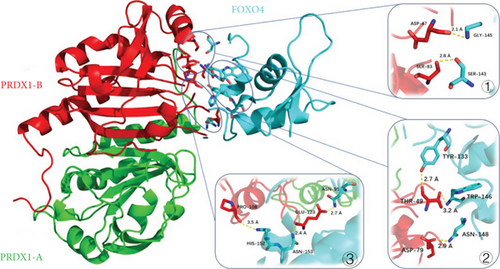 Details are in the caption following the image Details are in the caption following the image