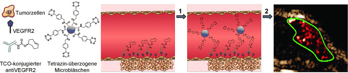 Catching Bubbles: Targeting Ultrasound Microbubbles Using Bioorthogonal Inverse-Electron-Demand Diels–Alder Reactions
