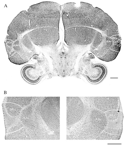 Details are in the caption following the image