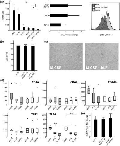 Human lactoferrin attenuates the proinflammatory response of neonatal monocyte-derived macrophages
