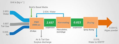 Biogas Plant Upgrade to CO2-Free Technology: A Techno-Economic Case Study