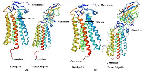 Details are in the caption following the image