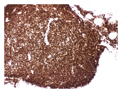 Details are in the caption following the image