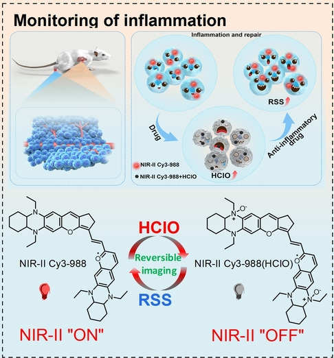 Engineering of Reversible NIR-II Redox-Responsive Fluorescent Probes for Imaging of Inflammation In Vivo
