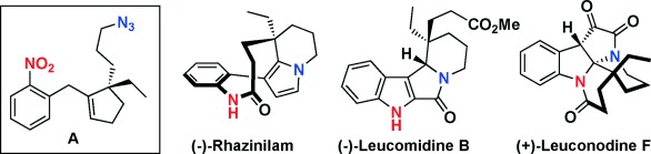 Enantioselective Total Syntheses of (−)-Rhazinilam, (−)-Leucomidine B, and (+)-Leuconodine F