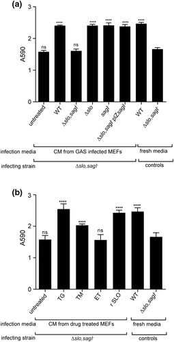 Details are in the caption following the image Details are in the caption following the image