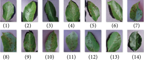 Details are in the caption following the image Details are in the caption following the image