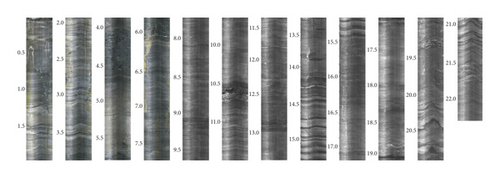 Details are in the caption following the image Details are in the caption following the image