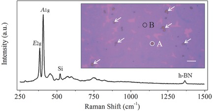 Origin of Improved Optical Quality of Monolayer Molybdenum Disulfide Grown on Hexagonal Boron Nitride Substrate