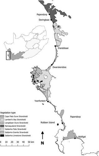 Details are in the caption following the image