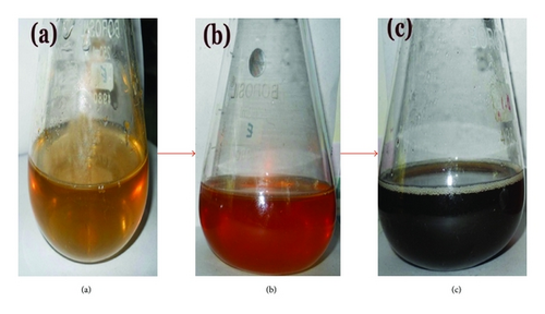 Details are in the caption following the image