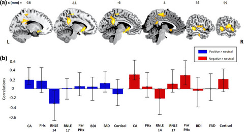 How biopsychosocial depressive risk shapes behavioral and neural responses to social evaluation in adolescence