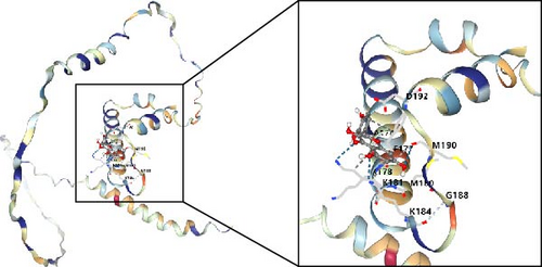 Details are in the caption following the image Details are in the caption following the image