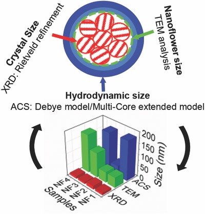 Colloidal Flower-Shaped Iron Oxide Nanoparticles: Synthesis Strategies and Coatings