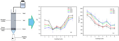 Towards Soil Health and Sustainable Development: Soil Physicochemical Response to Acid Rain Leaching