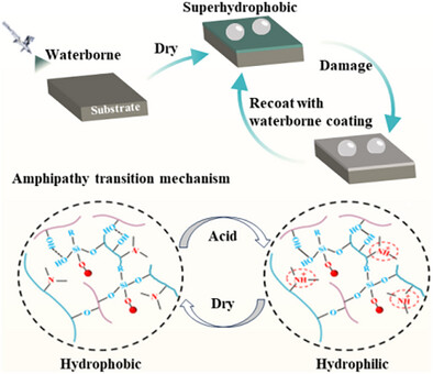 Waterborne Recoatable Transparent Superhydrophobic Coatings with Excellent Self-Cleaning and Anti-Dust Performance