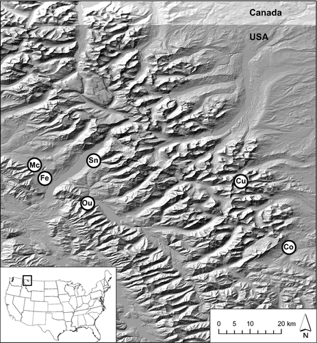 Details are in the caption following the image Details are in the caption following the image