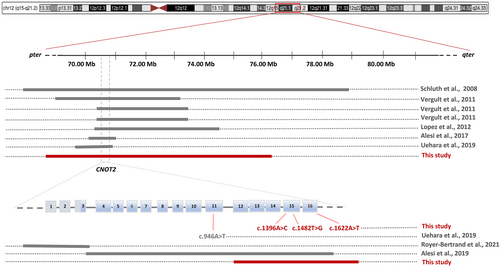 Details are in the caption following the image Details are in the caption following the image