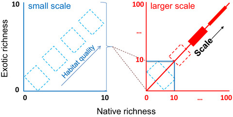 Scale dependency in native–exotic richness relationships revisited