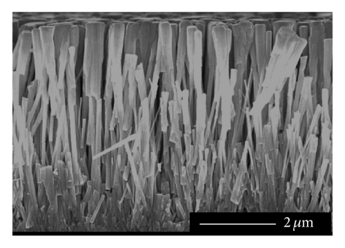 Details are in the caption following the image
