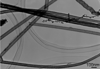 Gallium Nitride Nanotubes by the Conversion of Gallium Oxide Nanotubes