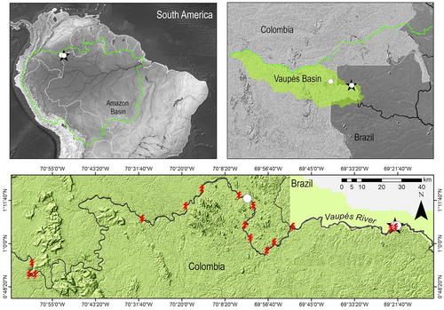Details are in the caption following the image Details are in the caption following the image