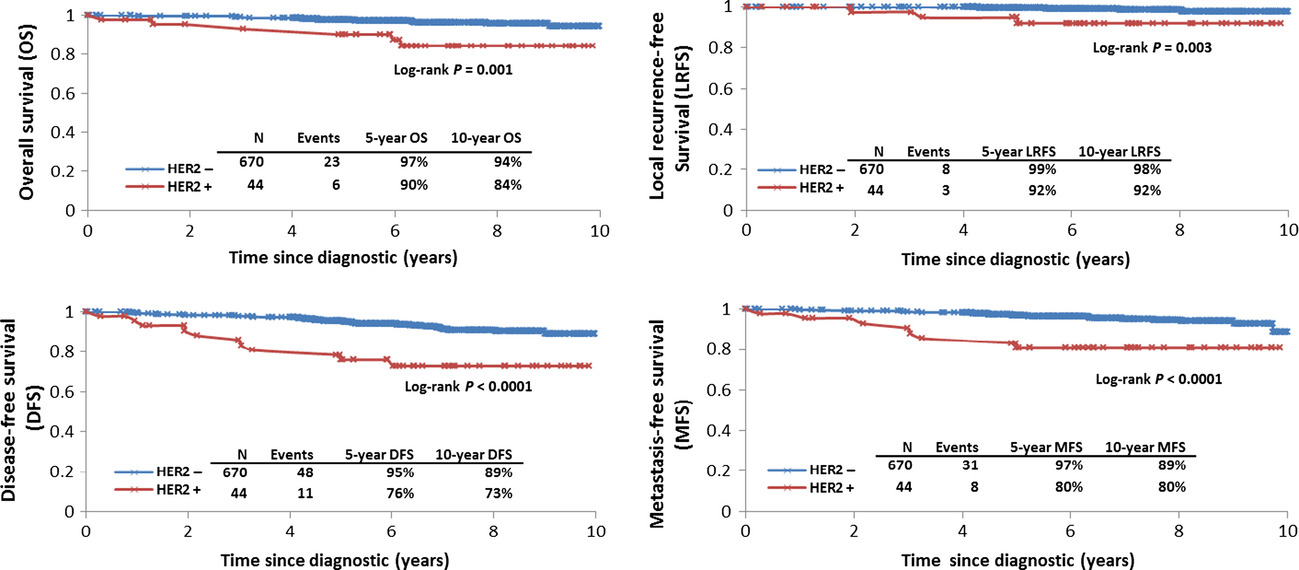 HER2 overexpression a major risk factor for recurrence in pT1a-bN0M0 breast cancer: results from a French regional cohort