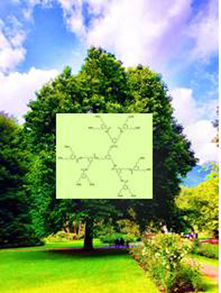 Cell death-inducing properties of selected dendrimers against different breast cancer and leukemia cell lines