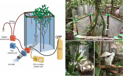 Simulating climate change in situ in a tropical rainforest understorey using active air warming and CO2 addition