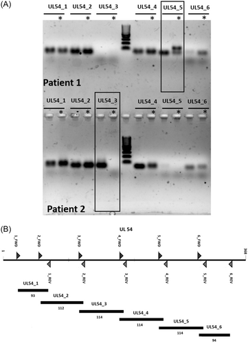Details are in the caption following the image Details are in the caption following the image