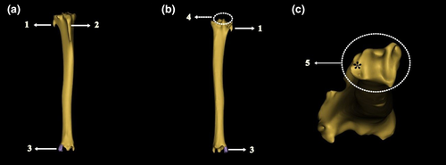 Details are in the caption following the image Details are in the caption following the image