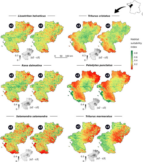 How citizen science could improve species distribution models and their independent assessment