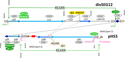Details are in the caption following the image Details are in the caption following the image