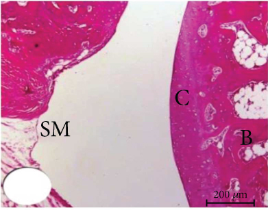 Details are in the caption following the image