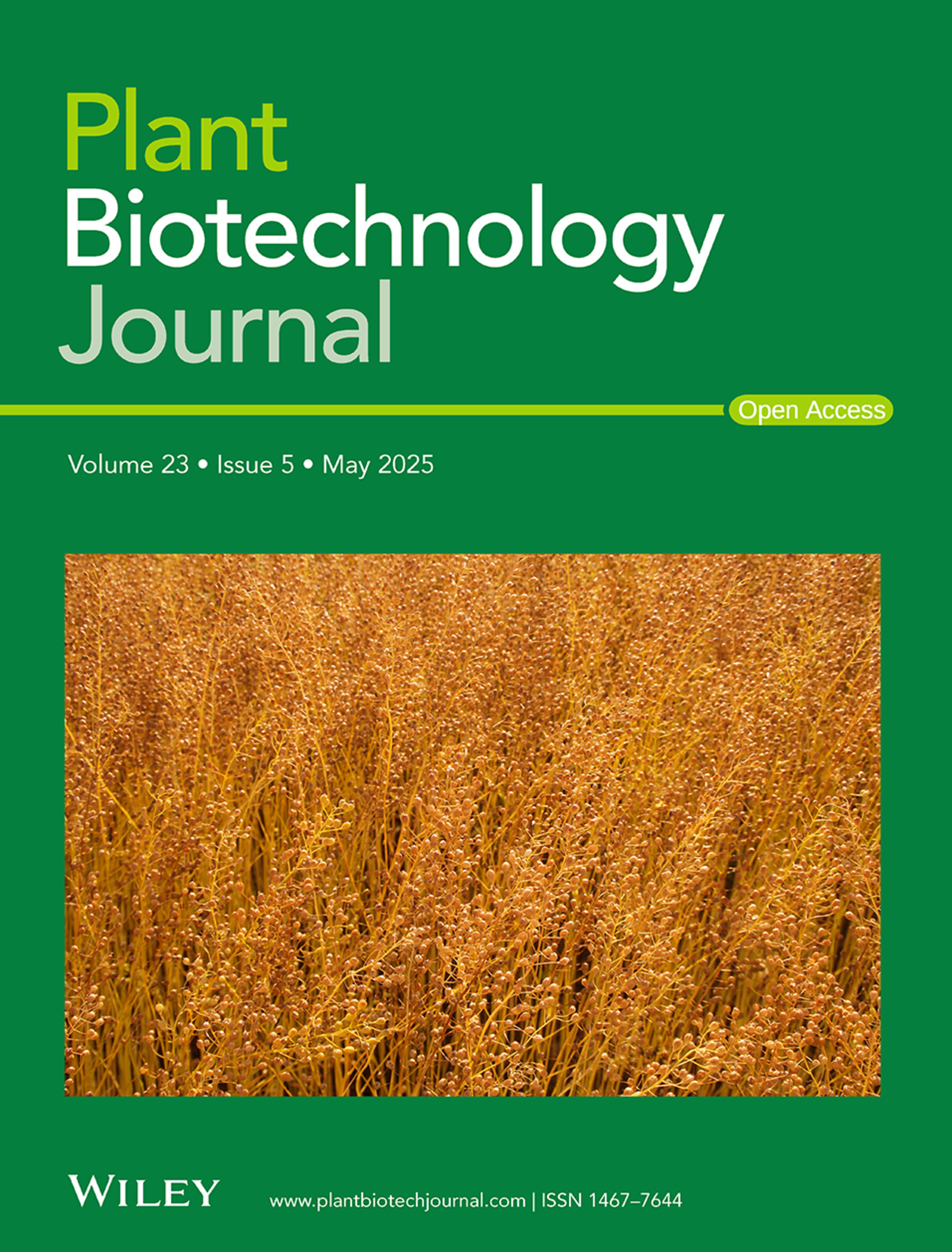 Issue Information