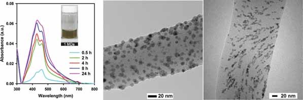 Electrospun Nanoparticle–Nanofiber Composites via a One-Step Synthesis