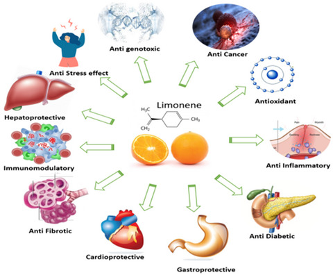 D-limonene: A multifunctional compound with potent therapeutic effects Issue 1, 2021