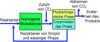 Biocatalytic Reaction And Recycling by Using CO2-Induced Organic–Aqueous Tunable Solvents
