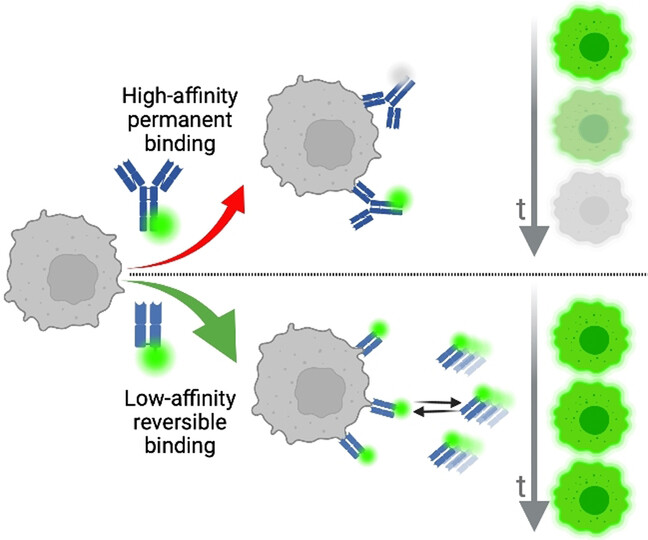 When Weak Is Strong: A Plea for Low-Affinity Binders for Optical Microscopy