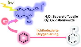 Direct Oxygenation of Benzene to Phenol Using Quinolinium Ions as Homogeneous Photocatalysts