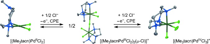 Dinuclear Palladium(III) Complexes with a Single Unsupported Bridging Halide Ligand: Reversible Formation from Mononuclear Palladium(II) or Palladium(IV) Precursors
