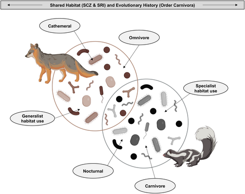 Details are in the caption following the image Details are in the caption following the image