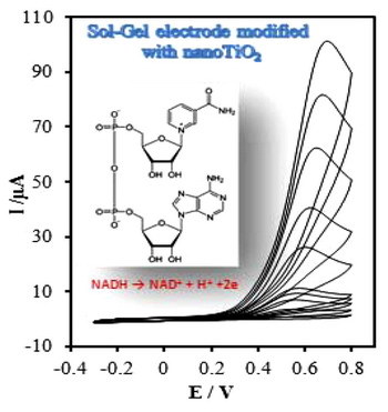 Nano TiO2 Modified Carbon-ceramic Electrode and Its Application for Electrocatalytic Oxidation of NADH