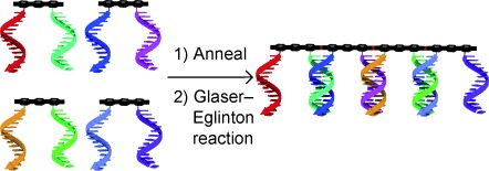 DNA-Programmed Glaser–Eglinton Reactions for the Synthesis of Conjugated Molecular Wires