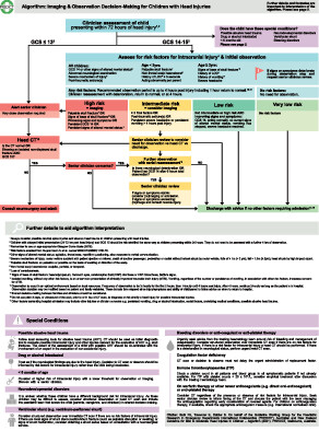 Australian and New Zealand Guideline for Mild to Moderate Head Injuries in Children