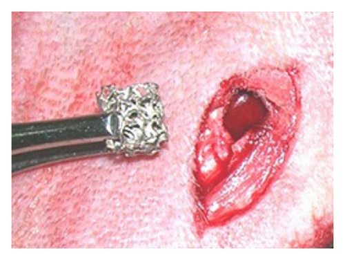 Details are in the caption following the image Details are in the caption following the image