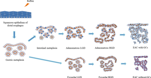 Details are in the caption following the image Details are in the caption following the image