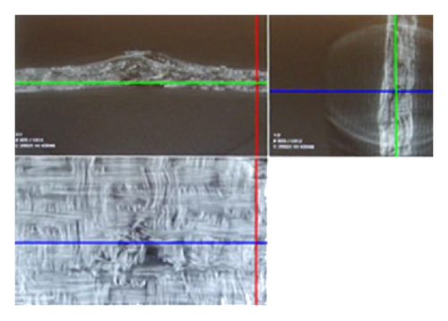 Details are in the caption following the image Details are in the caption following the image