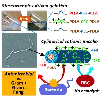 Broad-Spectrum Antimicrobial and Biofilm-Disrupting Hydrogels: Stereocomplex-Driven Supramolecular Assemblies